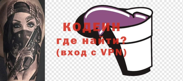 индика Нефтегорск