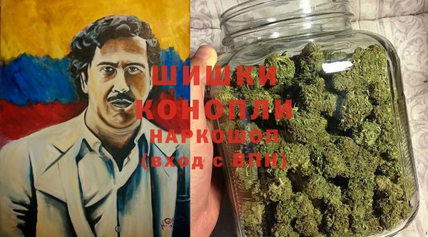 индика Нефтегорск